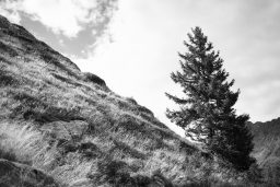 south tyrol